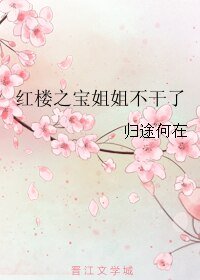 （红楼同人）红楼之宝姐姐不干了