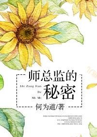 《师总监的秘密》