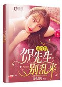 《蚀骨情:贺先生,别乱来》