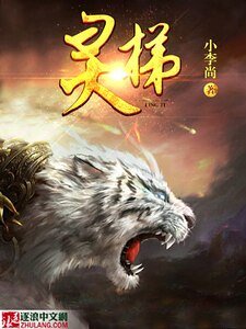 《灵梯》