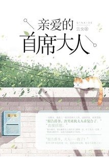 《亲爱的首席大人》