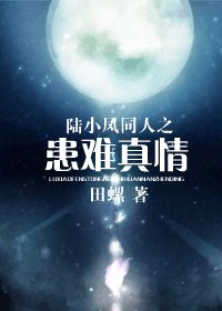 （陆小凤同人）陆小凤同人之患难真情