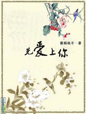 《一生爱你无悔:先爱上你》