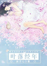 叶落经年