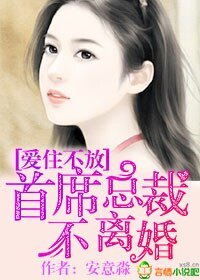 《爱住不放,首席总裁不离婚》