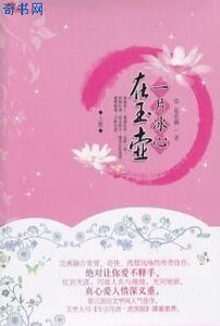 《一片冰心在玉壶》