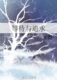 等待与追求