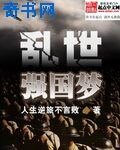 乱世强国梦