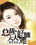总裁大人好难缠