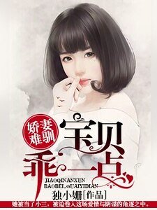 娇妻难驯:宝贝,乖一点