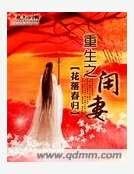 重生之闲妻