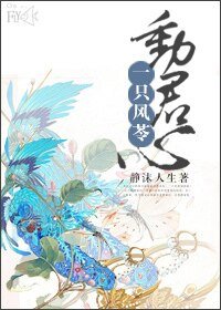 《一只风苓动君心》