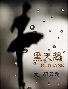 《黑天鹅(高干军旅)》