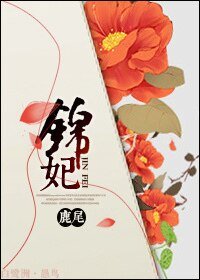 《锦妃》