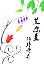 艾尔曼：碎片奇寻