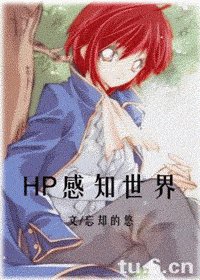 《(HP同人)感知世界》
