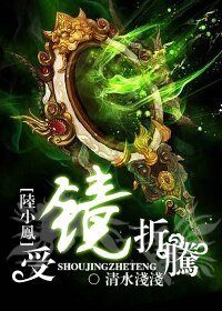 （BL/陆小凤同人）受镜折腾