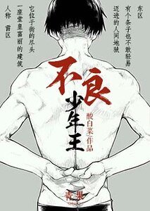 《不良少年王》