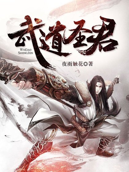武道圣君