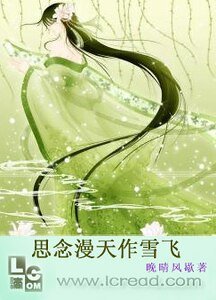 漫天雪飞