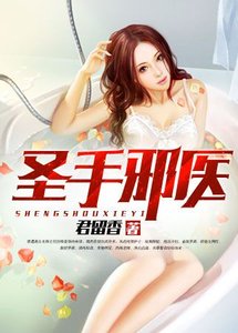 《圣手邪医》