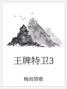 《王牌特卫3》