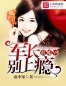 《农媳V5:军长别上瘾(精装)》
