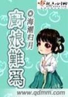 《厨娘难为》