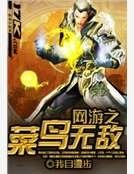 《网游之菜鸟无敌》