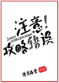 《注意!攻略错误》