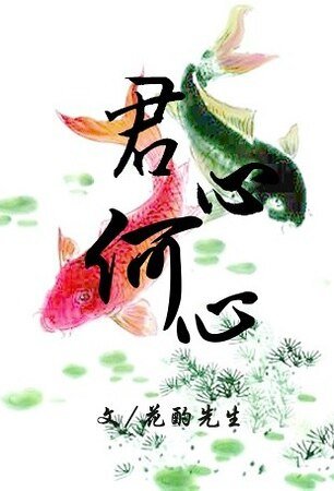 君心何心/莫问朱颜