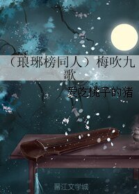 （琅琊榜同人）梅吹九歌