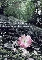 《蝶魂炎》