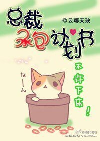 总裁承包策划书