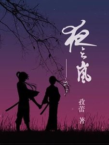 《夜之岚》