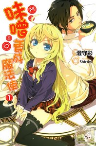 味噌养成魔法使
