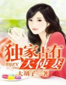 《独家占有天使妻》