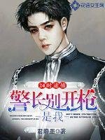 《24时逮捕:警长别开枪是我》