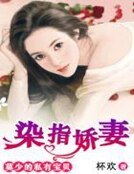 《染指娇妻:莫少的私有宝贝》
