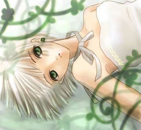 《那个、夏天》