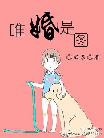 《唯婚是图》