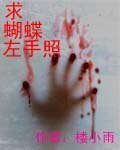 《求蝴蝶左手照》