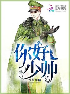 《你好,少帅!》