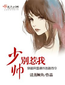 《少帅别惹我》