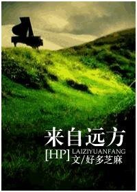 （HP同人）来自远方