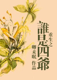 重生之谁是四爷