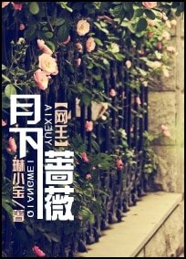 （网王同人）月下蔷薇
