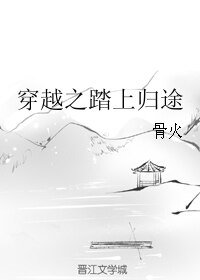 《穿越之踏上归途》