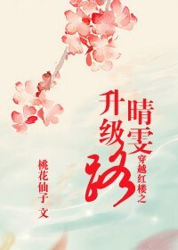 （红楼同人）穿越红楼之晴雯升级路