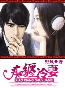 旅婚—痴缠冷妻